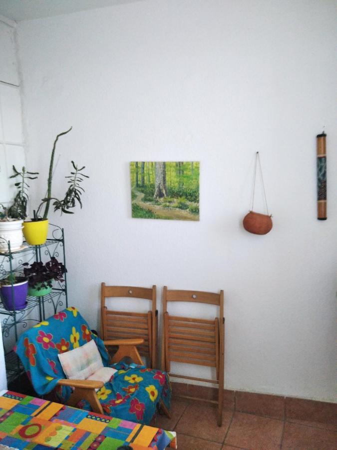Viva Apartment สโกเปีย ภายนอก รูปภาพ